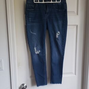 Vigoss Blue Ankle Cropped Jeans